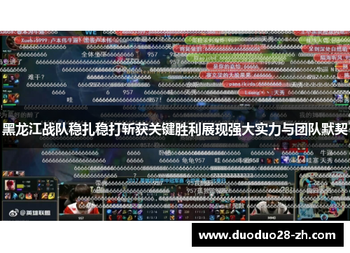黑龙江战队稳扎稳打斩获关键胜利展现强大实力与团队默契
