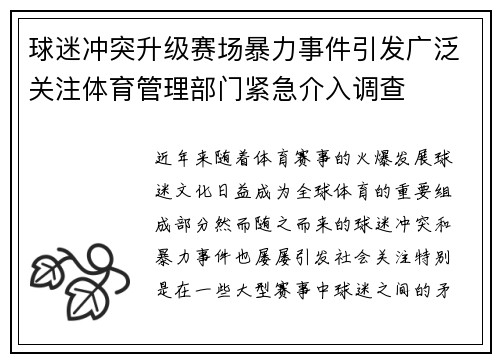球迷冲突升级赛场暴力事件引发广泛关注体育管理部门紧急介入调查
